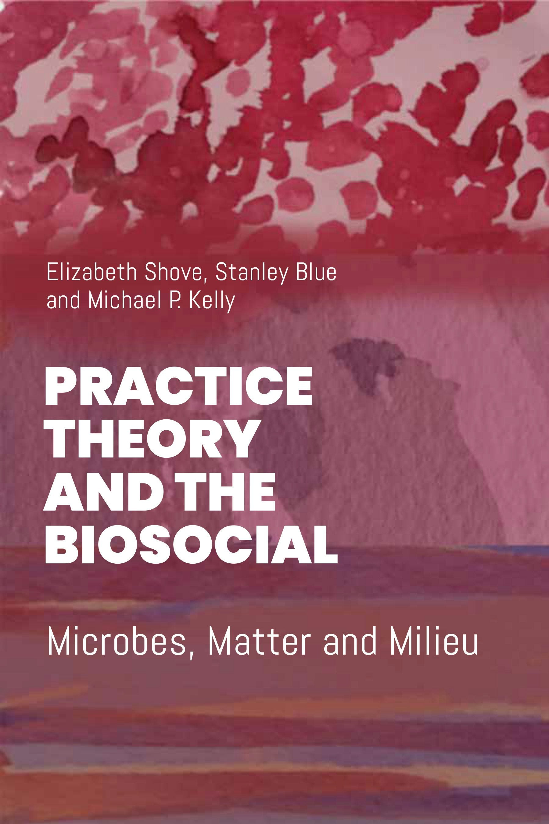 Book cover image for Practice Theory and the Biosocial ISBN: 9781836953395